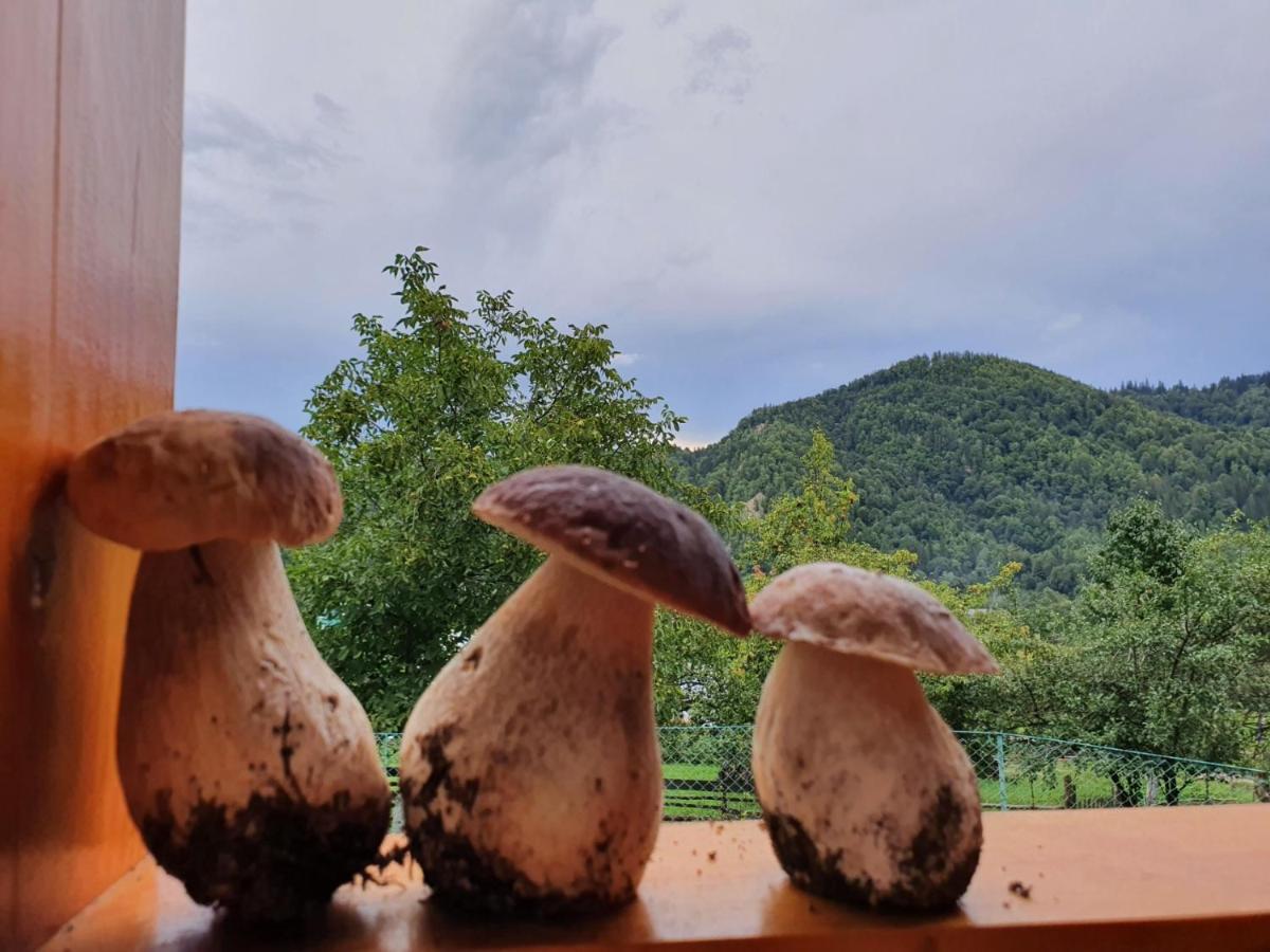 Садиба Кичера Petrashi Buitenkant foto