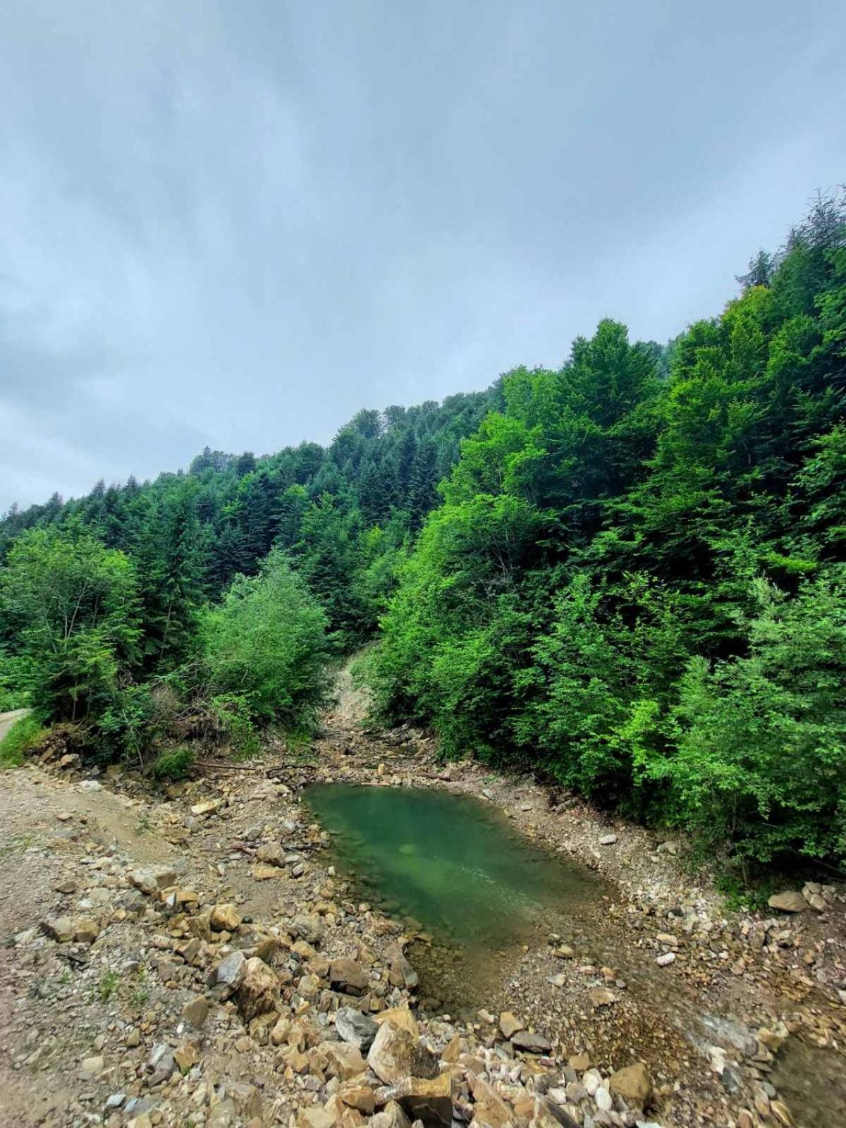 Садиба Кичера Petrashi Kamer foto
